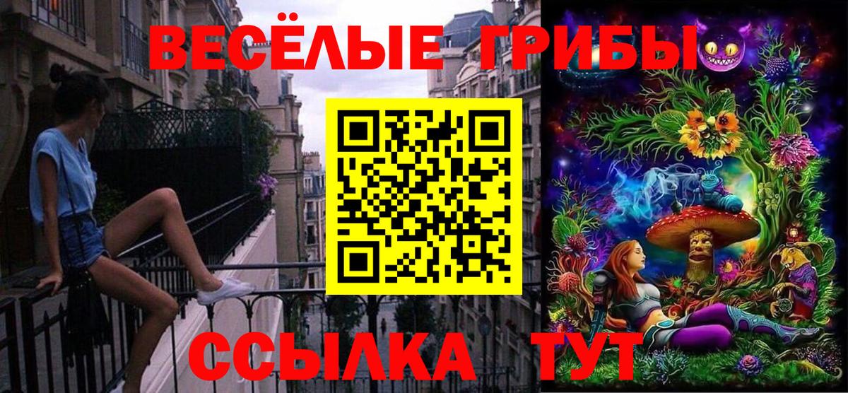 Фролово  Галлюциногенные грибы Psilocybe  Вход с VPN 